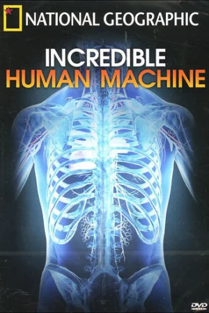 Невероятное тело человека 