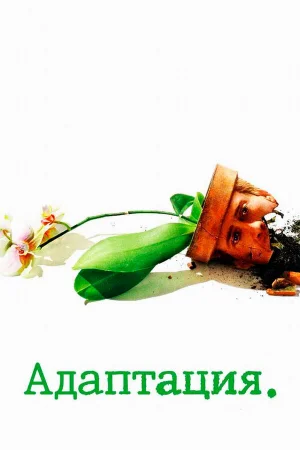 Адаптация 